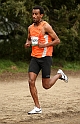2011 BayXC-310